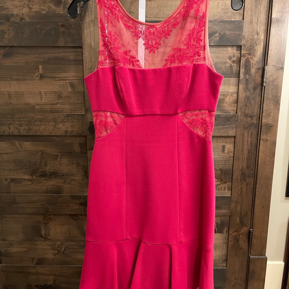 Raspberry BCBG dress. Worn once